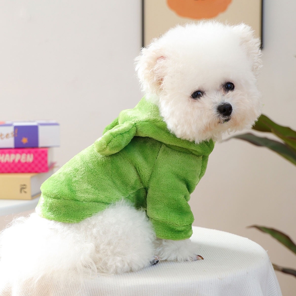 Personalized Embroidered Name Pet Winter Hoodie | incloth126