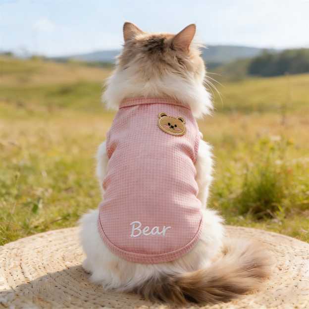 Personalized Embroidered Name Summer Thin Breathable Sweatshirt | inCloth79