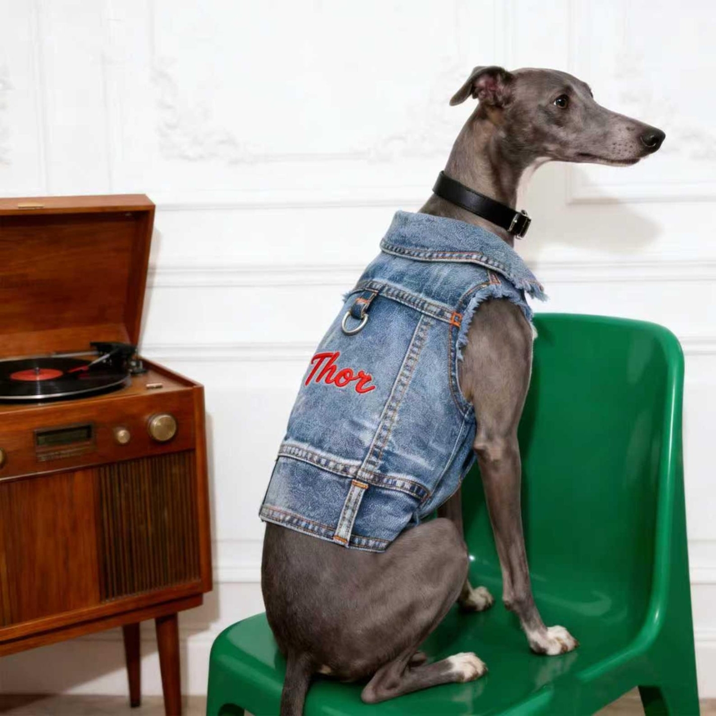 Personalized Embroidered Name Pet Denim Vest | inCloth63