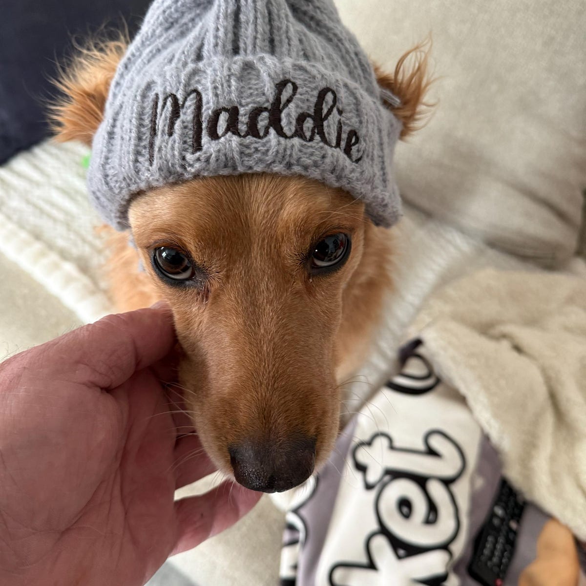 Personalized Embroidered Name Dog Winter Beanie with Ear Holes | inHat07