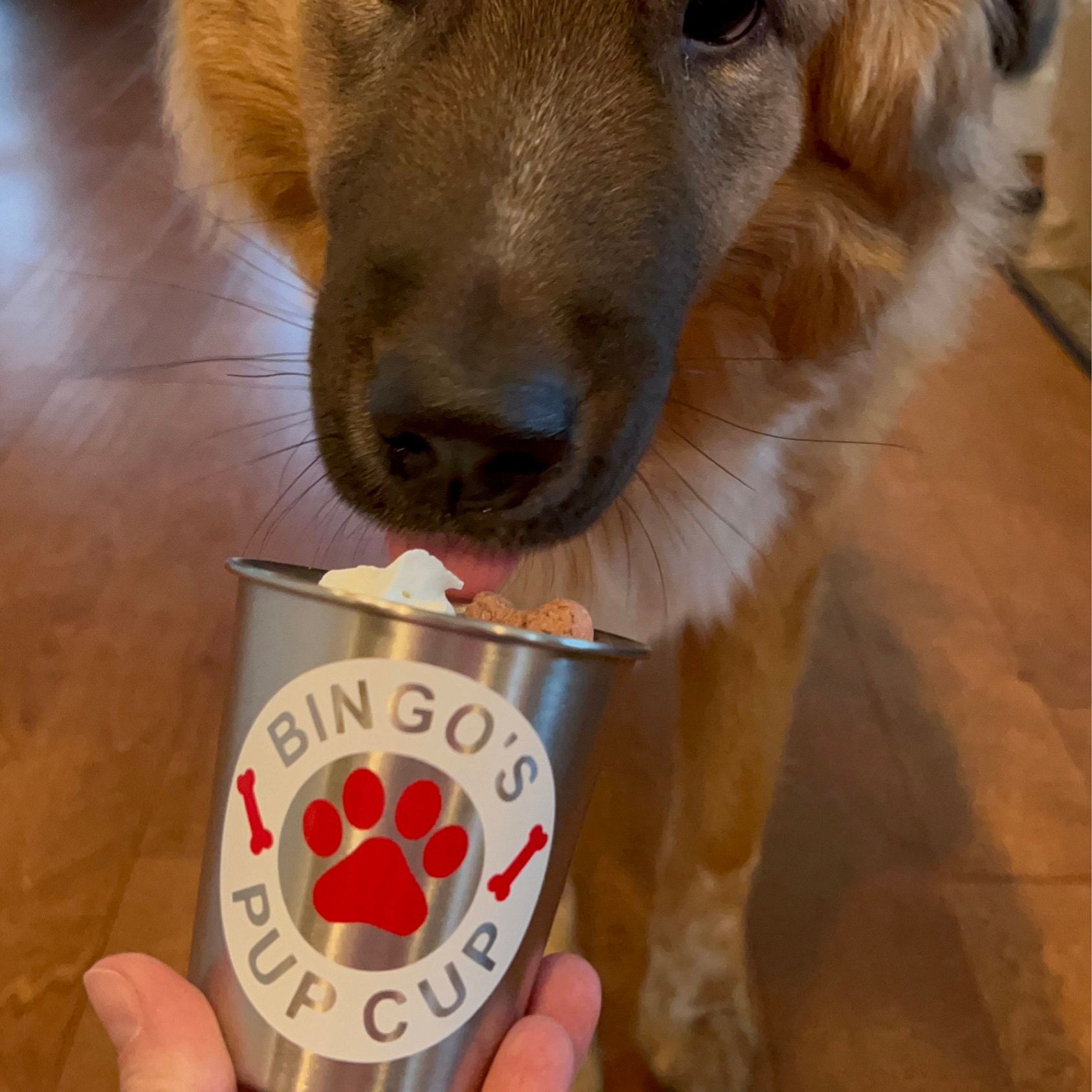 Personalized Pet Stainless Steel Reusable Pup Cup Mug | BKPet263