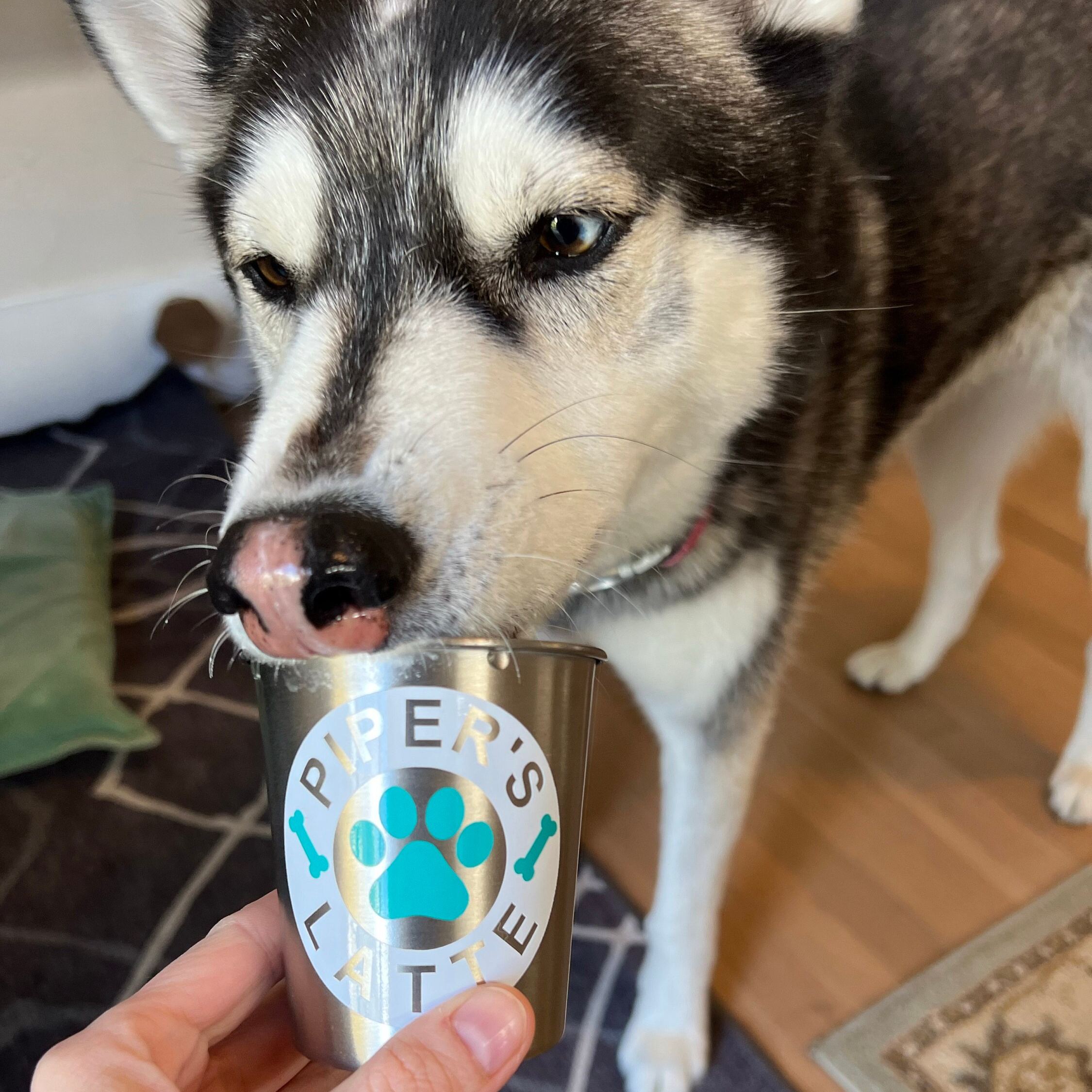 Personalized Pet Stainless Steel Reusable Pup Cup Mug | BKPet263