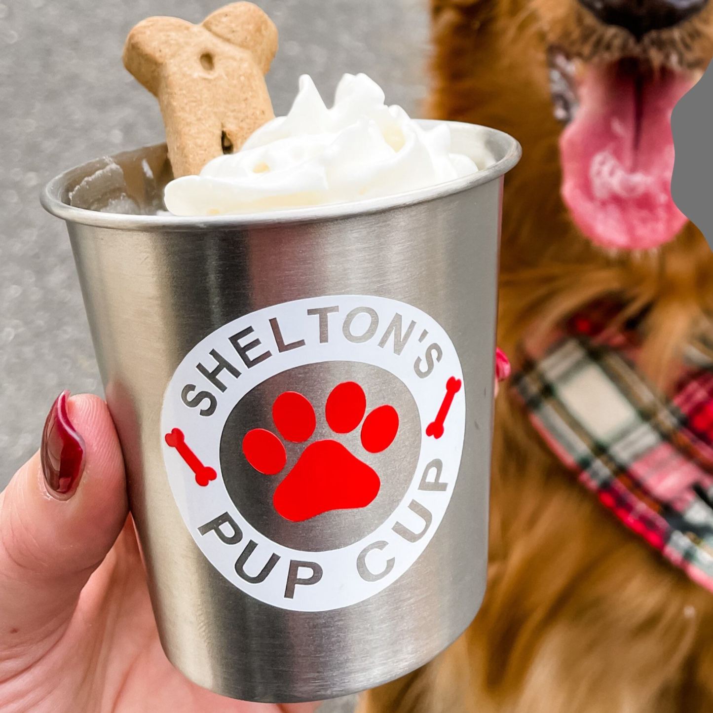 Personalized Pet Stainless Steel Reusable Pup Cup Mug | BKPet263