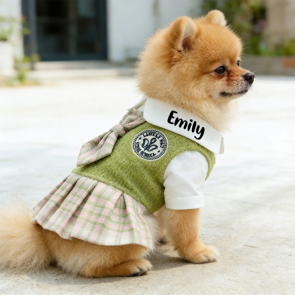 Personalized Pet School Style Dress | inCloth27