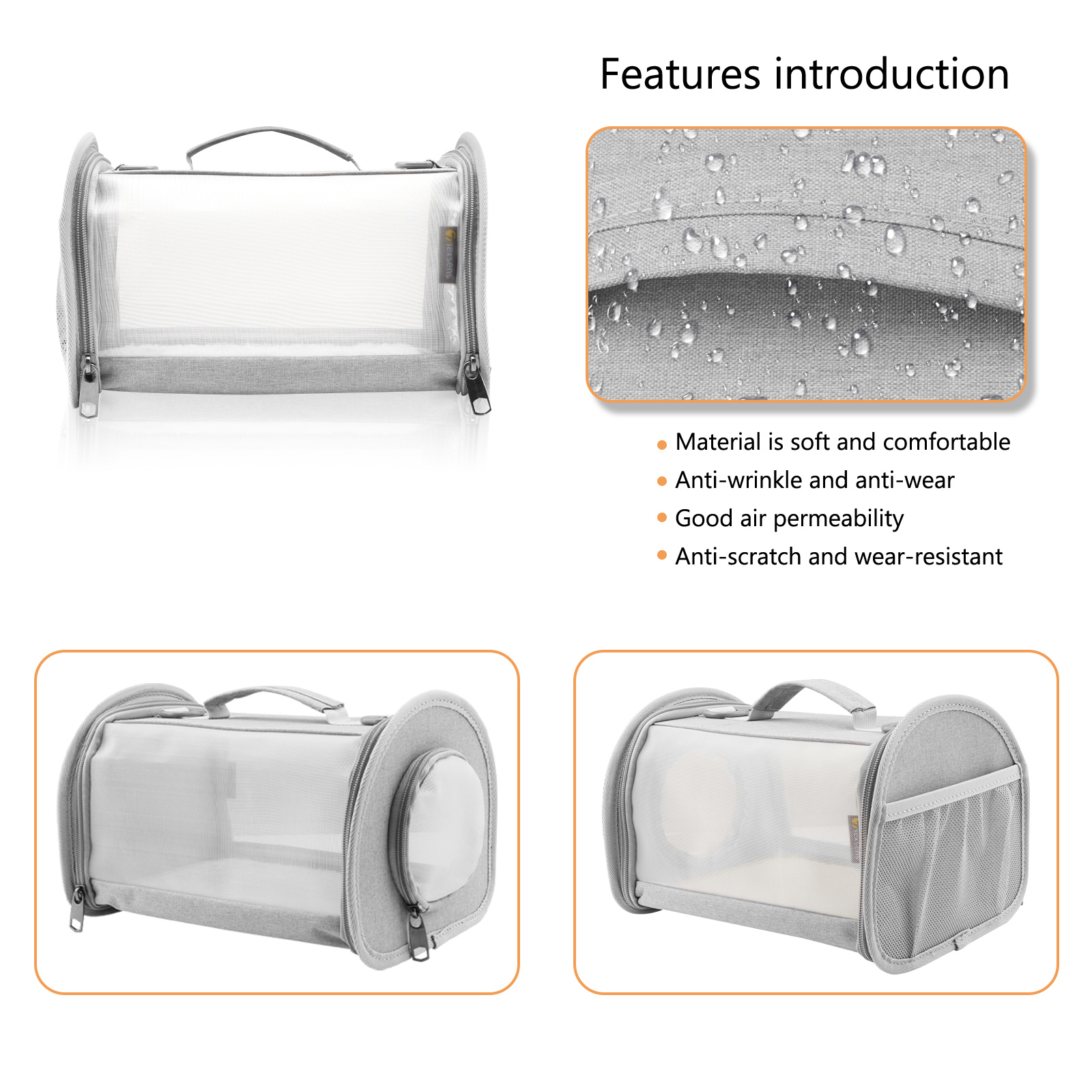 Bearded Dragon Carrier