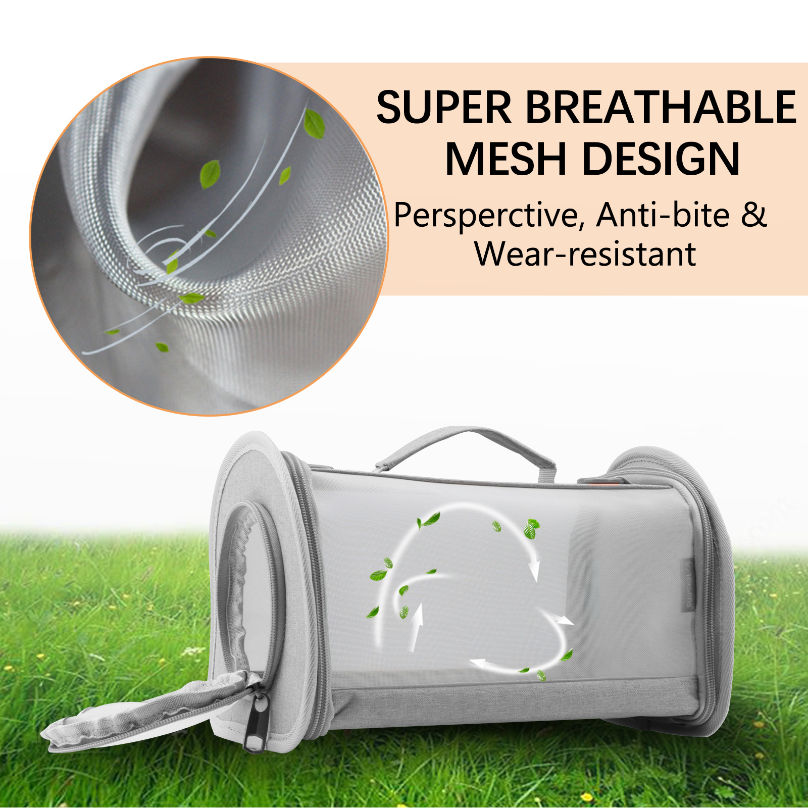 Bearded Dragon Carrier