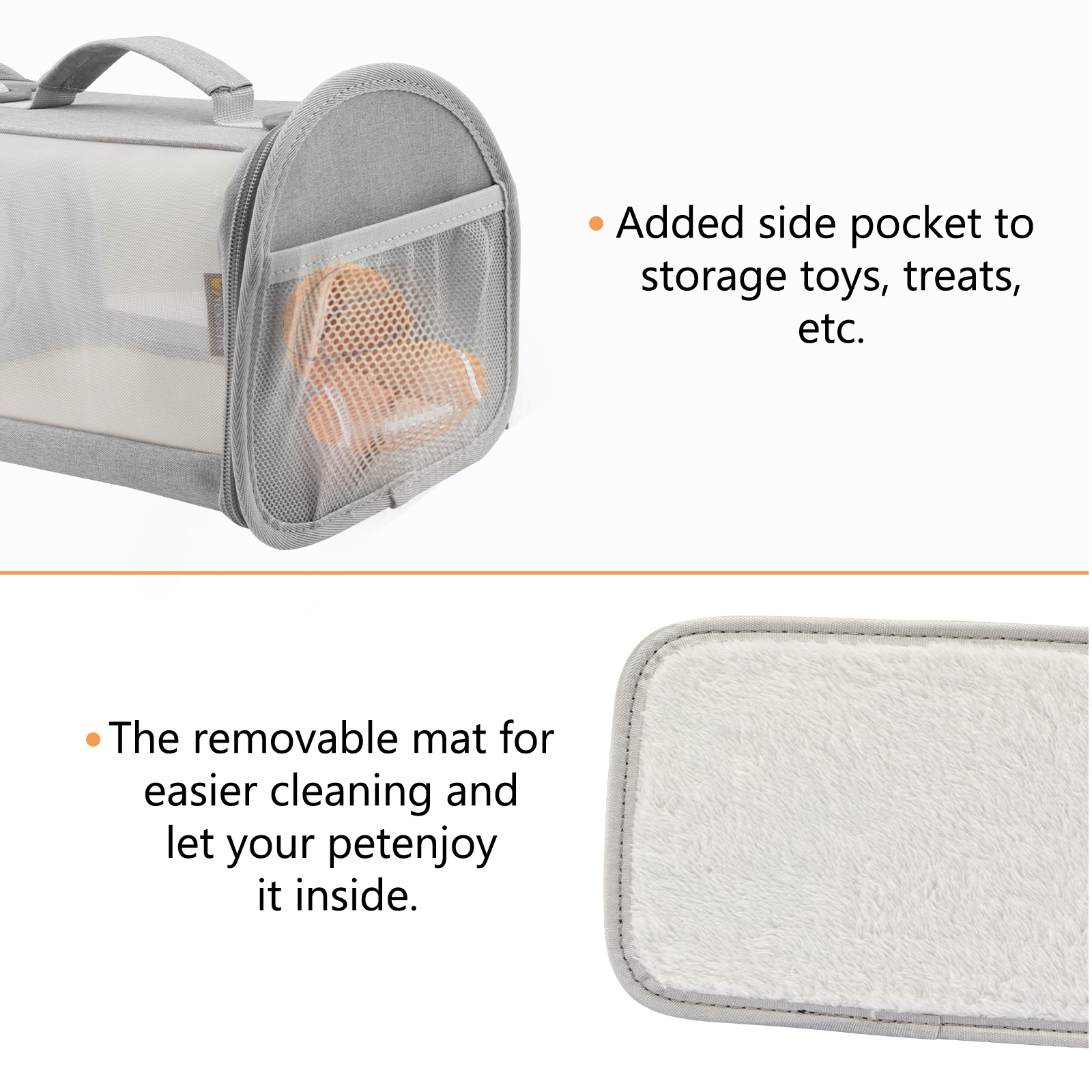 Bearded Dragon Carrier