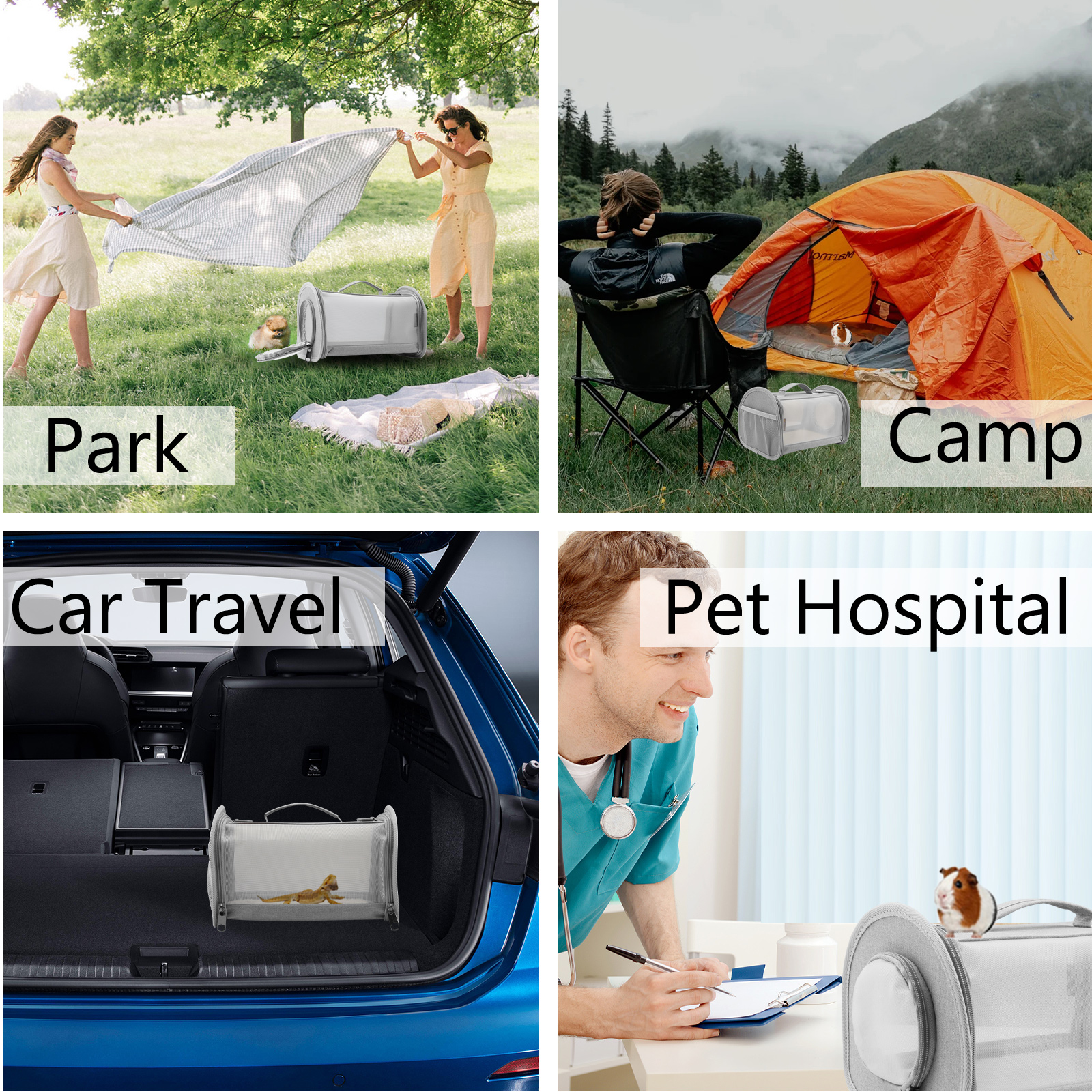 Bearded Dragon Carrier