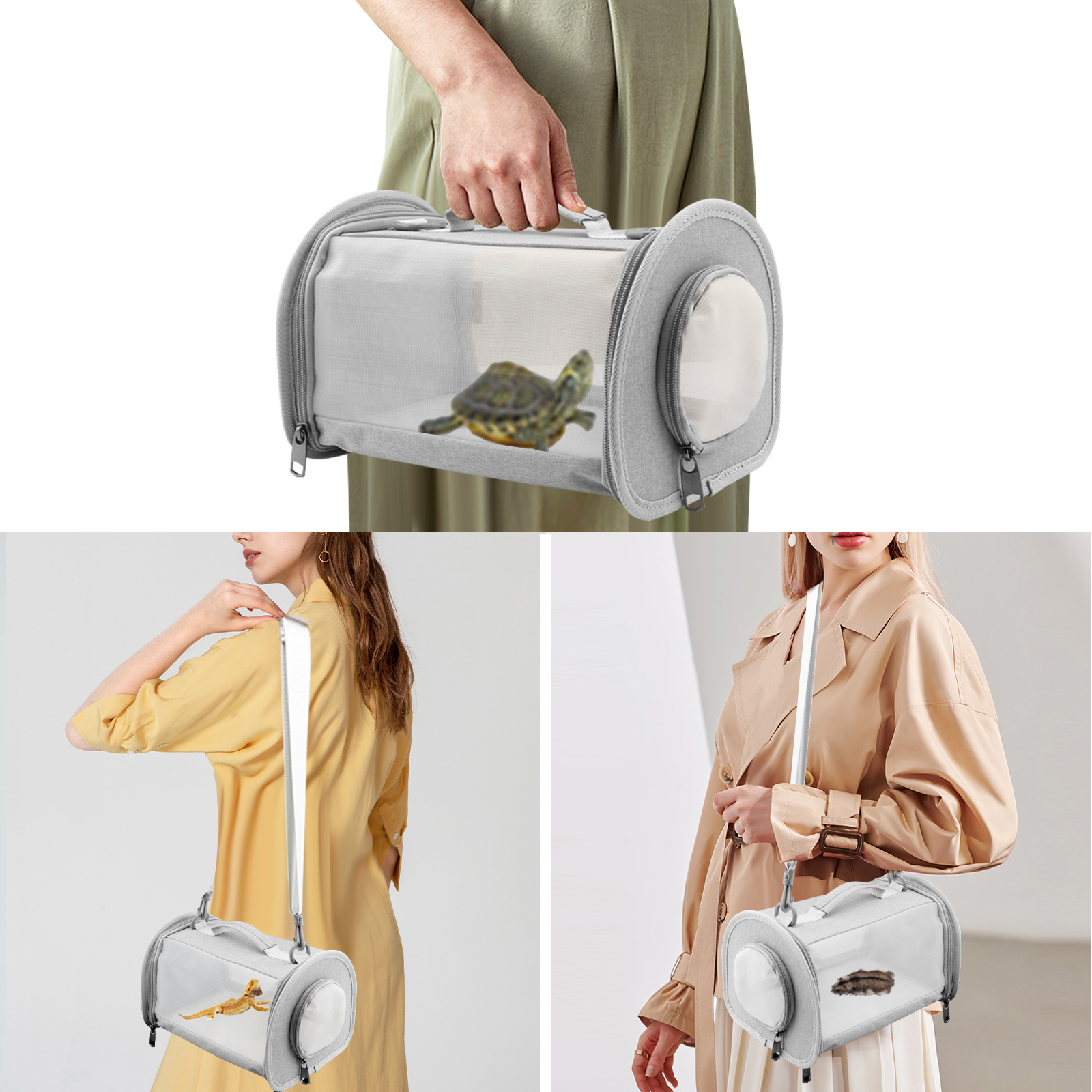 Bearded Dragon Carrier