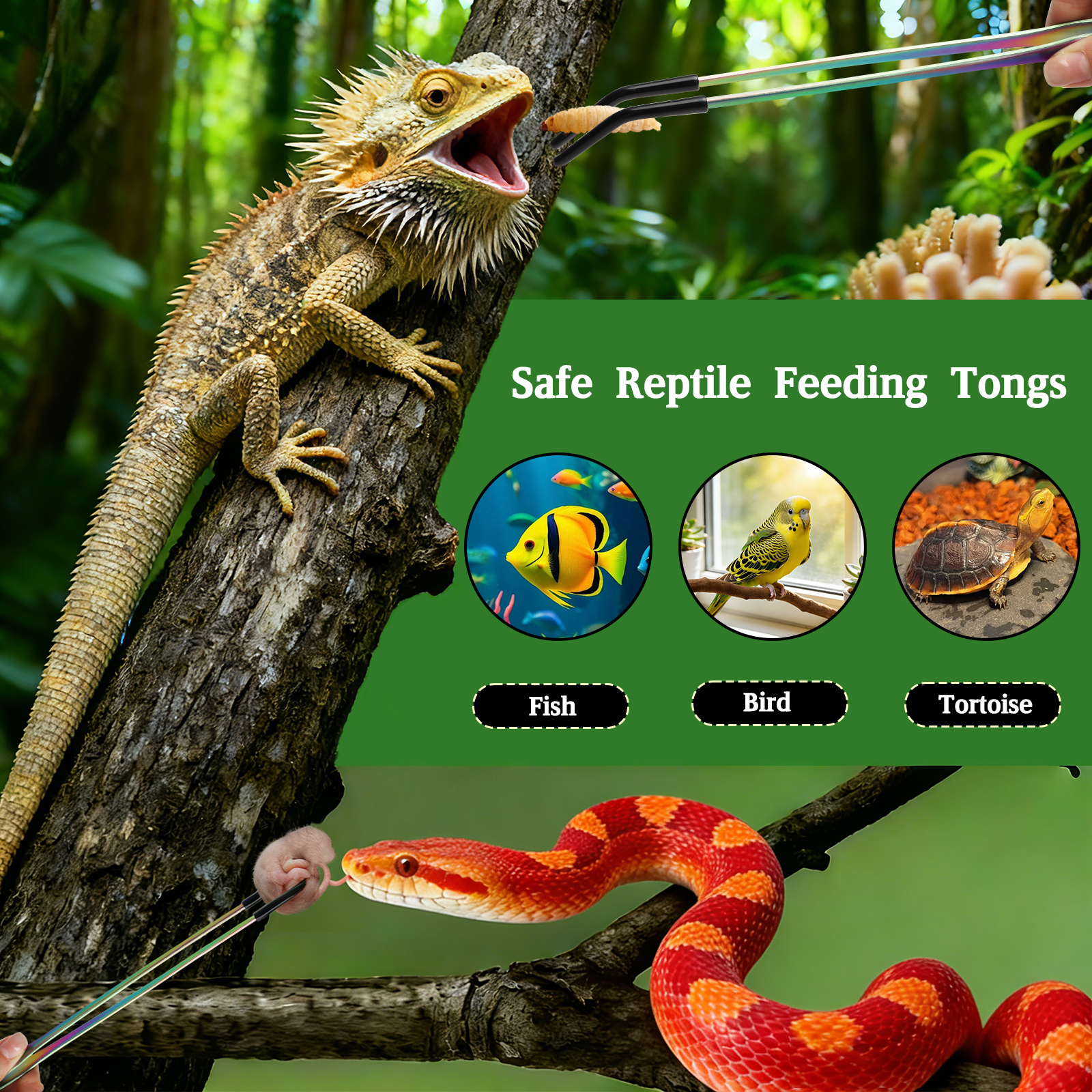 TEXSENS Stainless Steel Reptile Feeding Tongs and Spoon Set （10.6"）