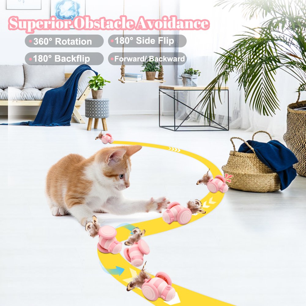 Interactive Rolling Cat Toys