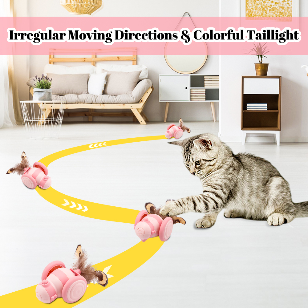 Interactive Rolling Cat Toys