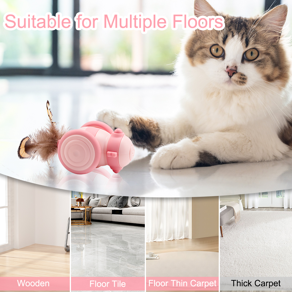 Interactive Rolling Cat Toys