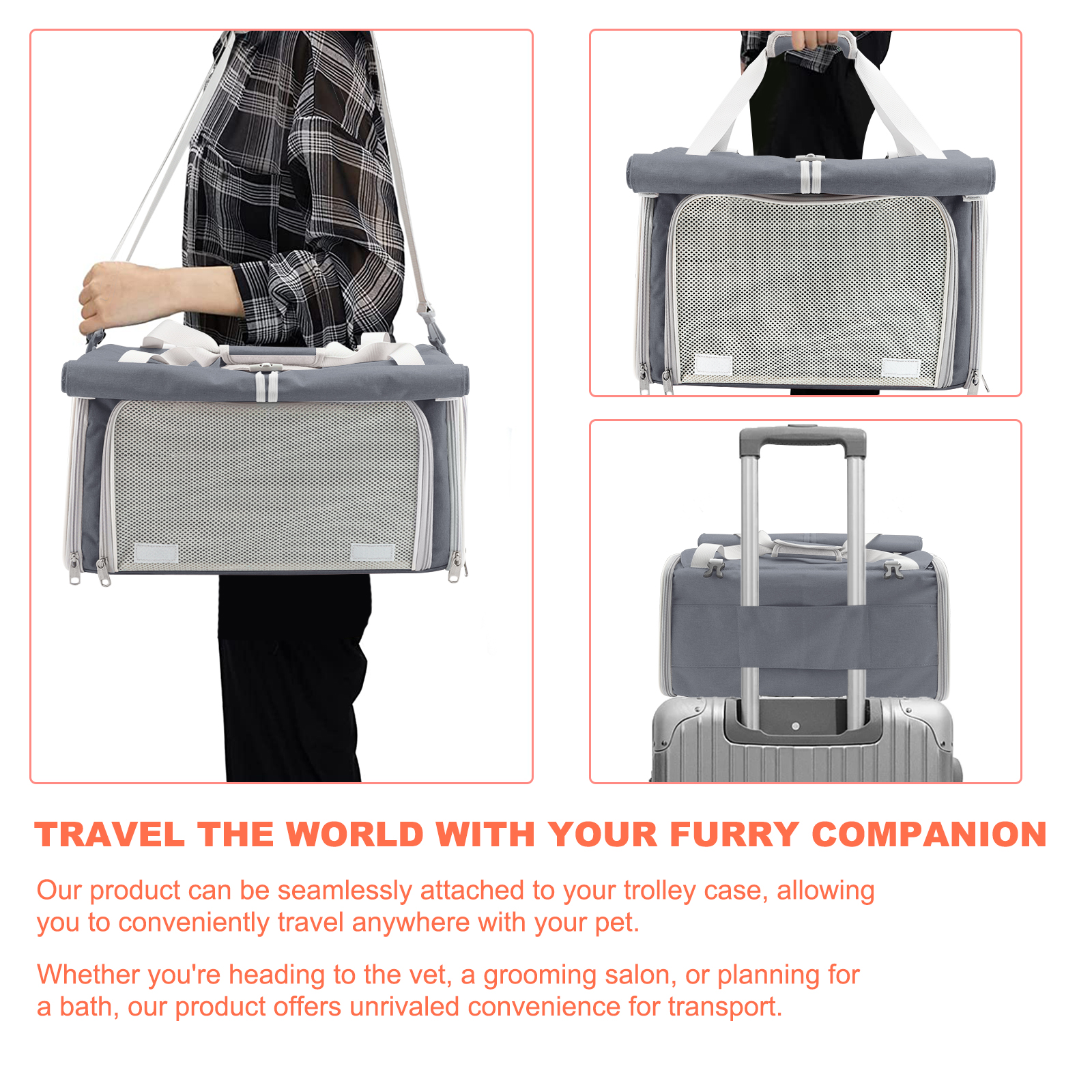 Soft-Sided Pet Carrier for Cat Dog