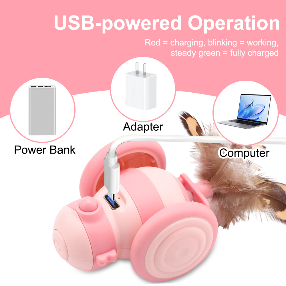 Interactive Rolling Cat Toys