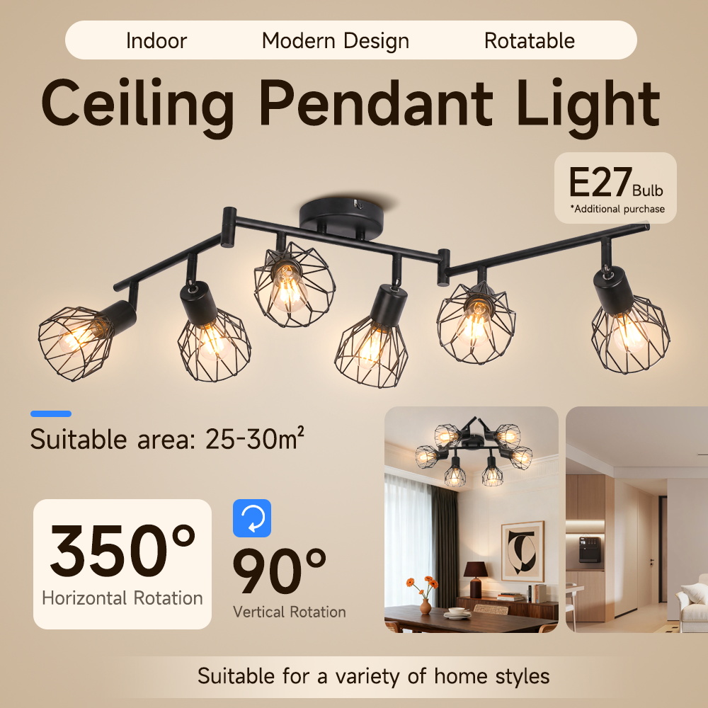 canmeijia-black-iron-cage-ceiling-spotlight-5-head.jpg
