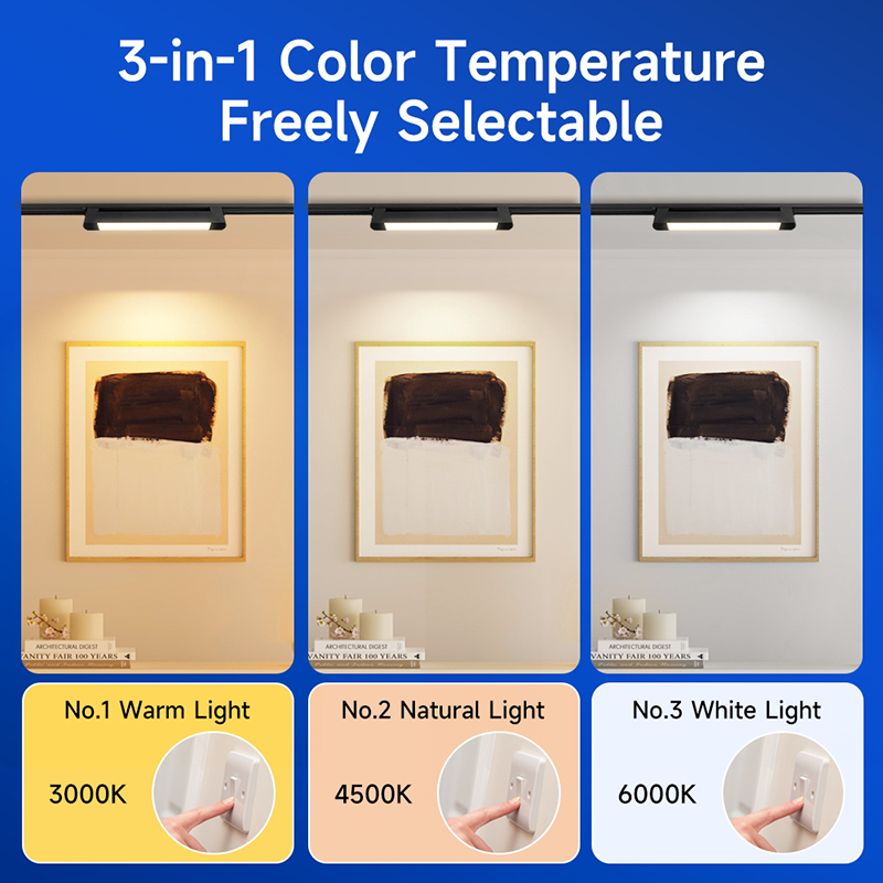 CANMEIJIA  Two-line track floodlight black shell