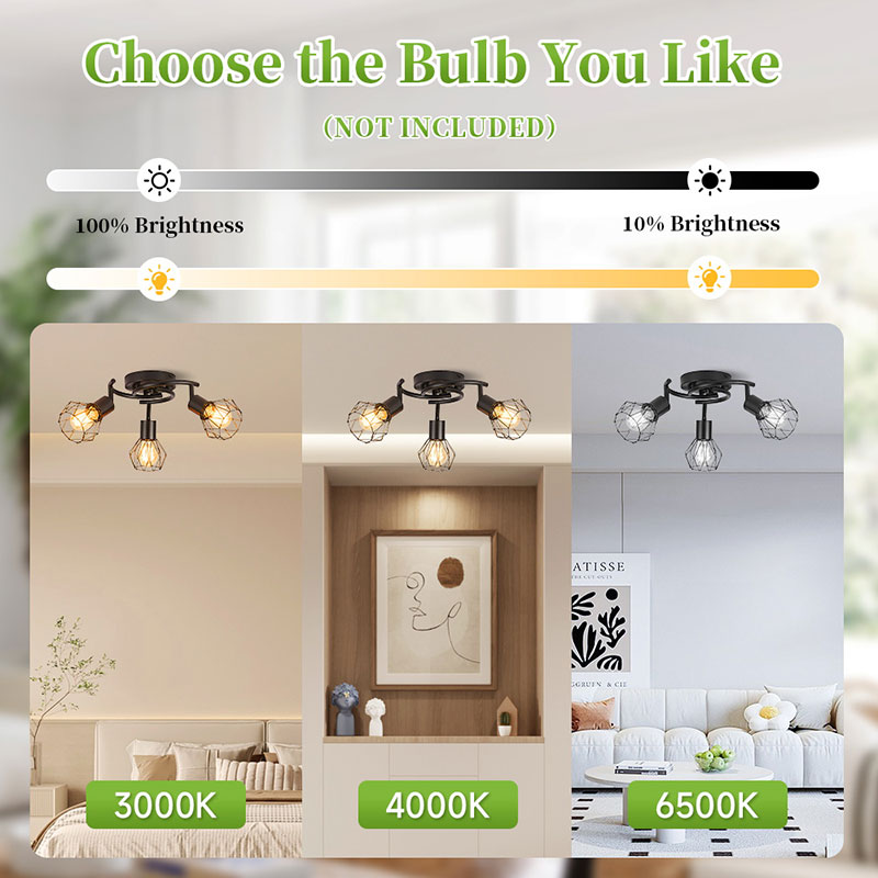 CANMEIJIA  Round ceiling spotlight in iron cage style