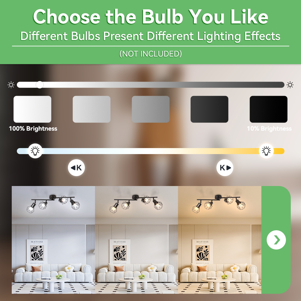 CANMEIJIA  Cage-style ceiling spotlight, E27 lamp holder (light source not included)