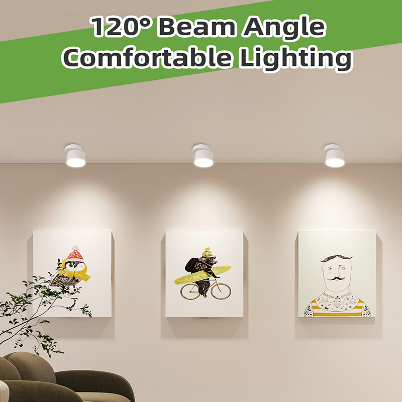 CANMEIJIA Ceiling Downlight GX53 No Light Source Round No Light Source