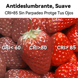 CANMEIJIA American Style Ceiling Lamp, Round Black Shell, 24W White Light