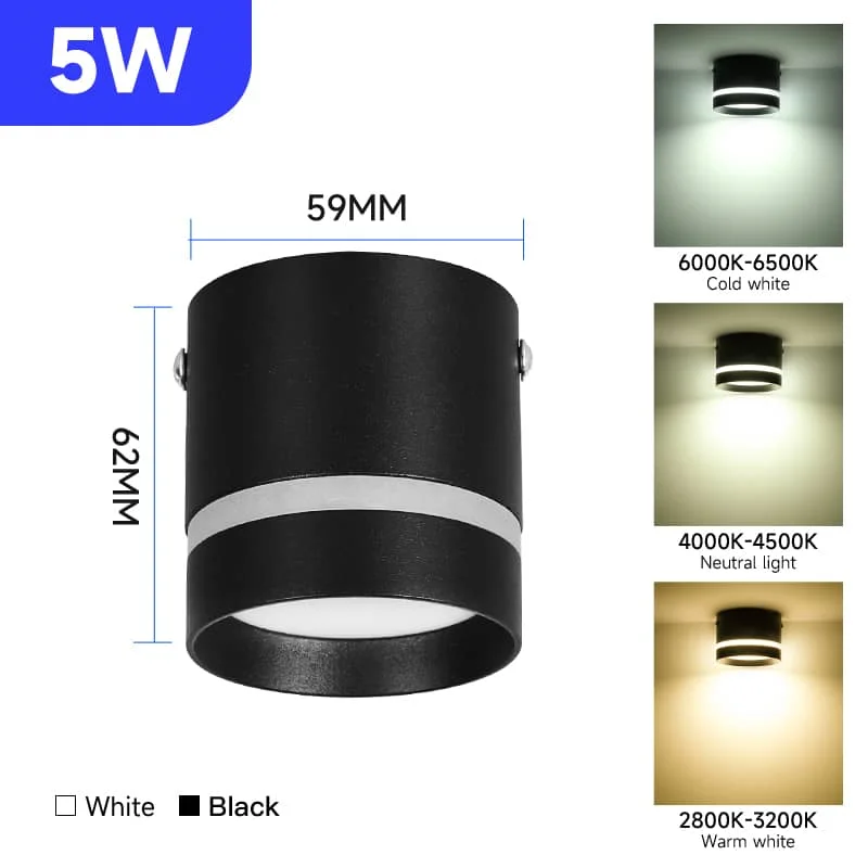 （CANMEIJIA）Surface-mounted downlight macaron economy