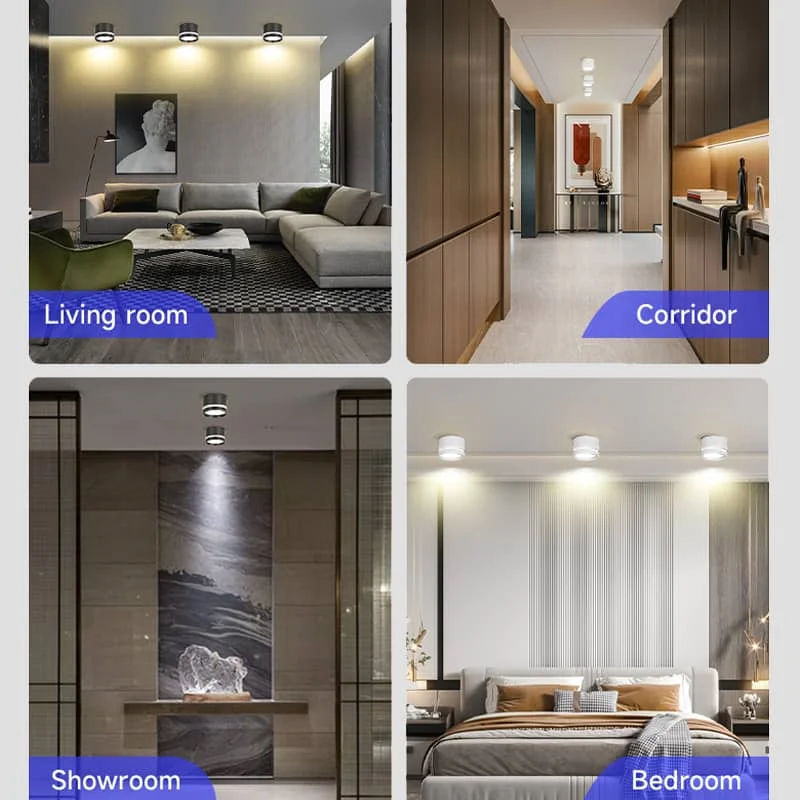 （CANMEIJIA）Surface-mounted downlight macaron economy