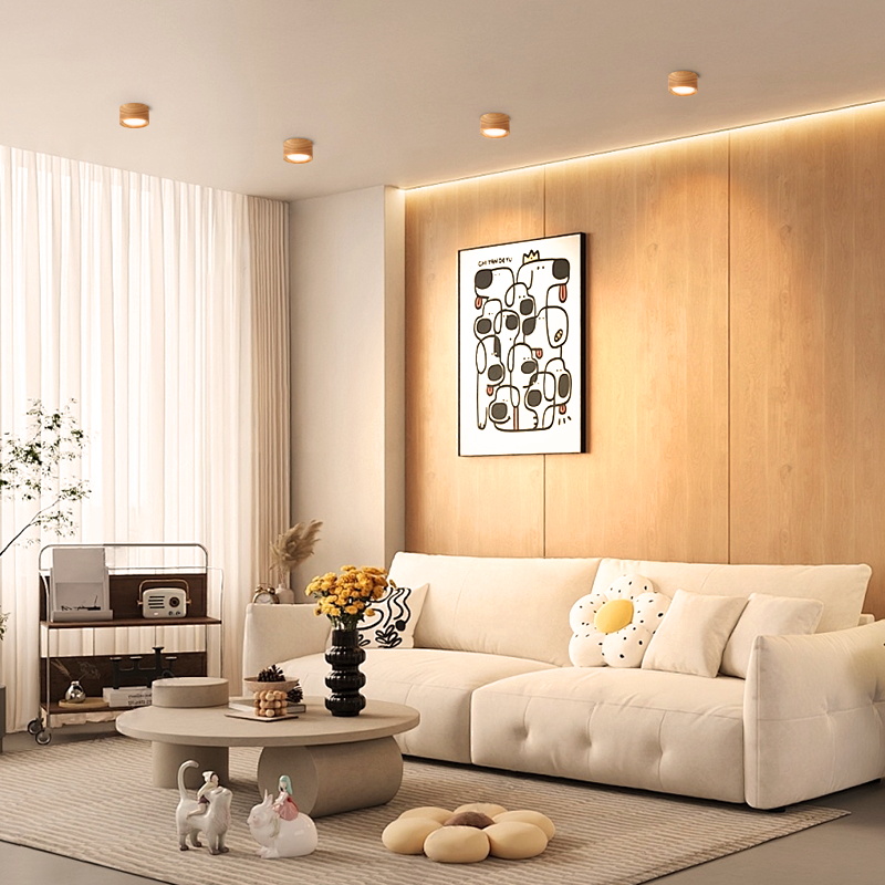 CANMEIJIA led downlight surface mounted solid wood GX53 bulb