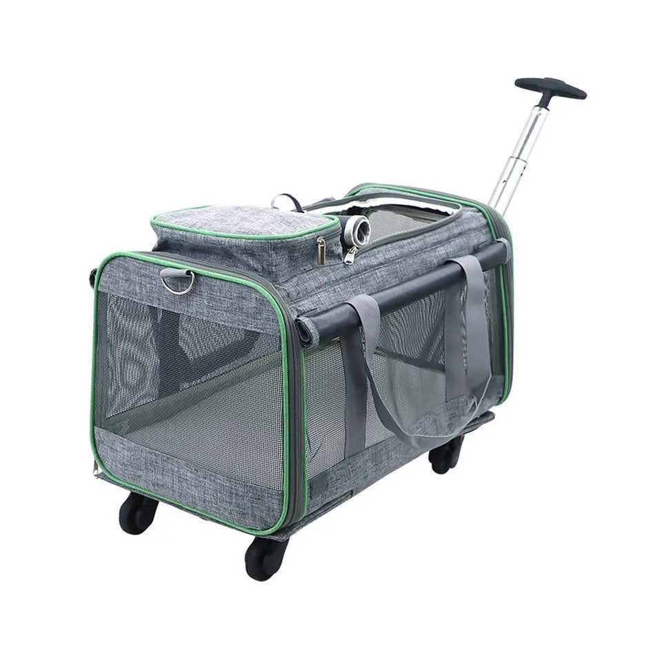 Chelsea - Pet Travel Carrier - Agora Pet Supply | Airline Approved Pet Dog Cat Carrier