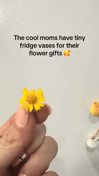 🎀Mother’s Day Mini Magnetic Vase Set – Make Every Corner Bloom