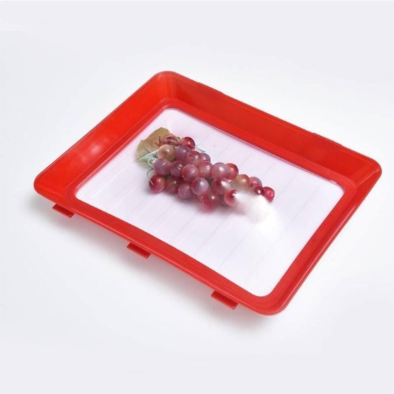 Environmentally friendly design - Reusable Food Preserving Tray🥰