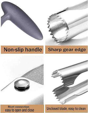 Stainless Steel Fruit Core Remover