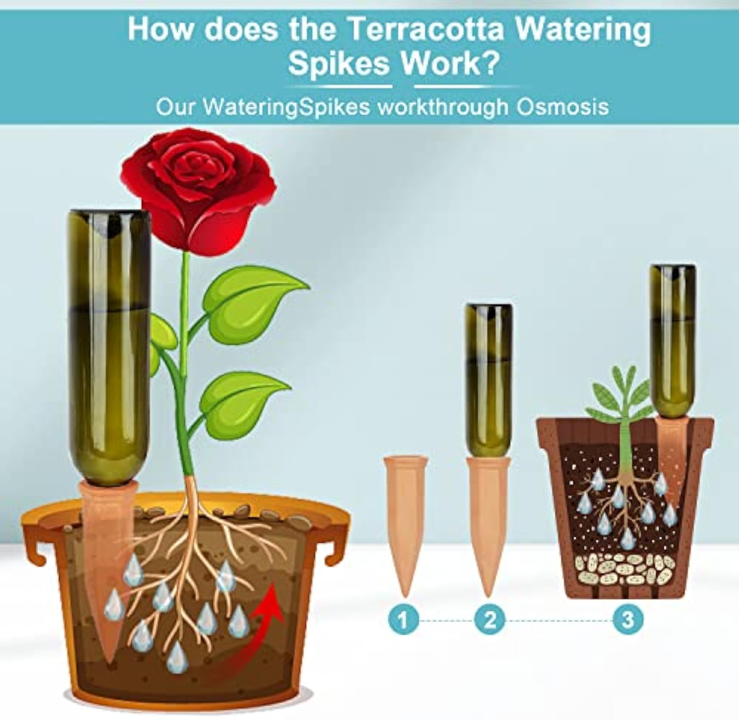 🔥Last Day 49% OFF -Terracotta Self Watering Spikes
