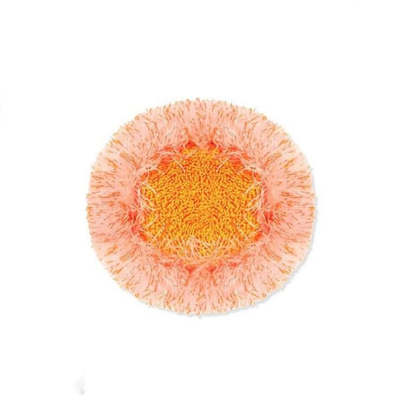 (🎁Hot Sale SAVE 49% OFF🎁)360° Rotatable Adjustable Cleaning Mop-Buy 2 SETS FREE SHIPPING