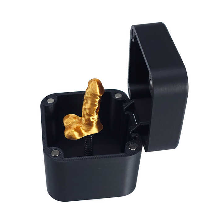 🎁Middle Finger in a Box