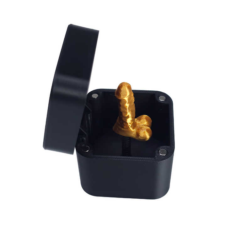 🎁Middle Finger in a Box