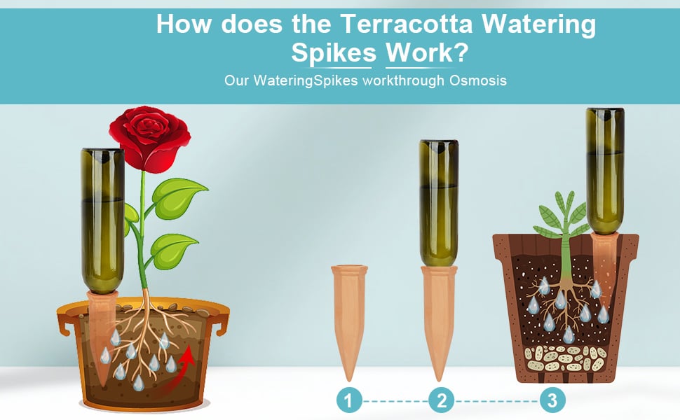 Plant Watering Stakes