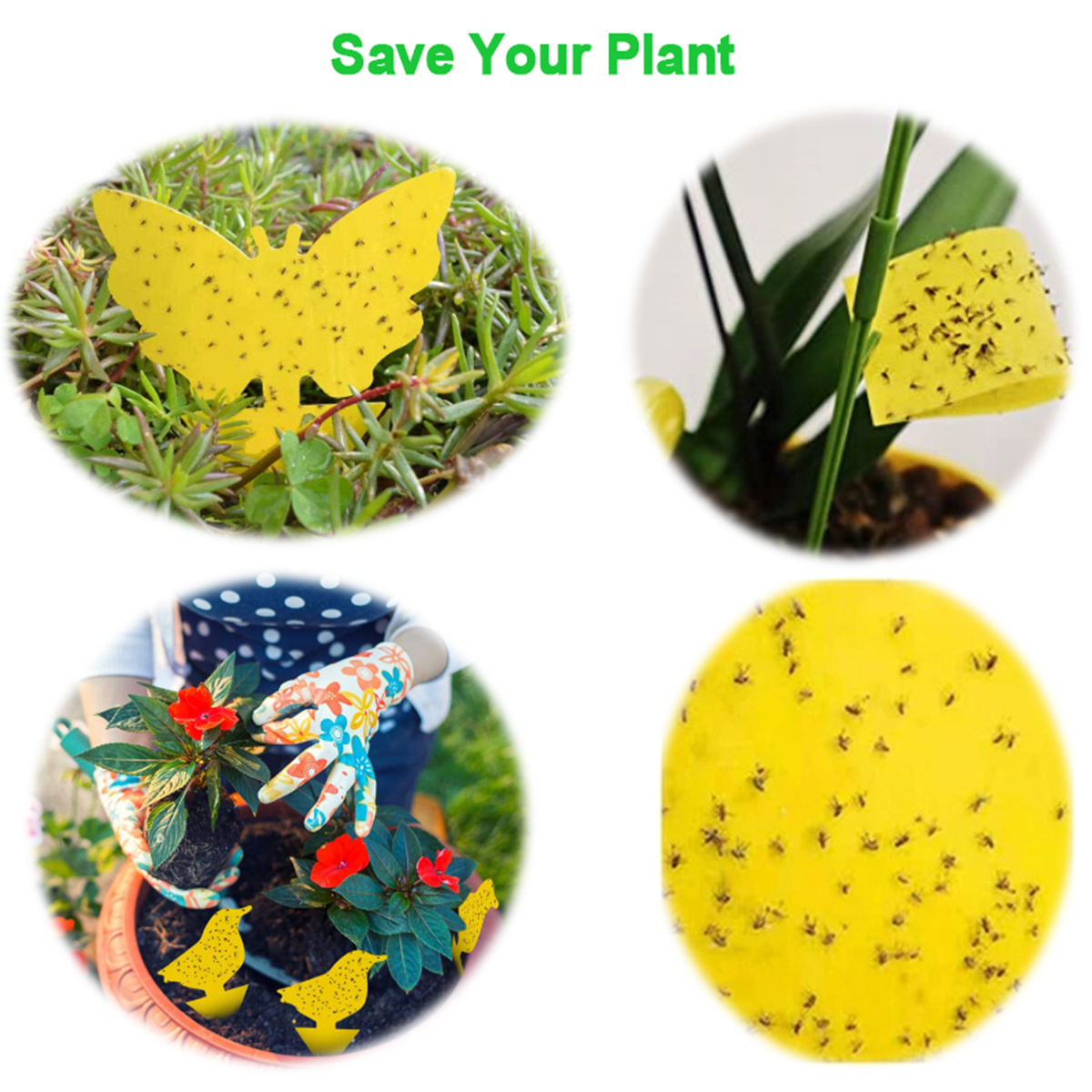 40 pcs Dual-Sided Yellow Sticky Traps Package,with Twist Ties, for Fruit Fly Gnat Sticky Trap Plant Indoor Outdoor Natural Insect Control, Non-Toxic
