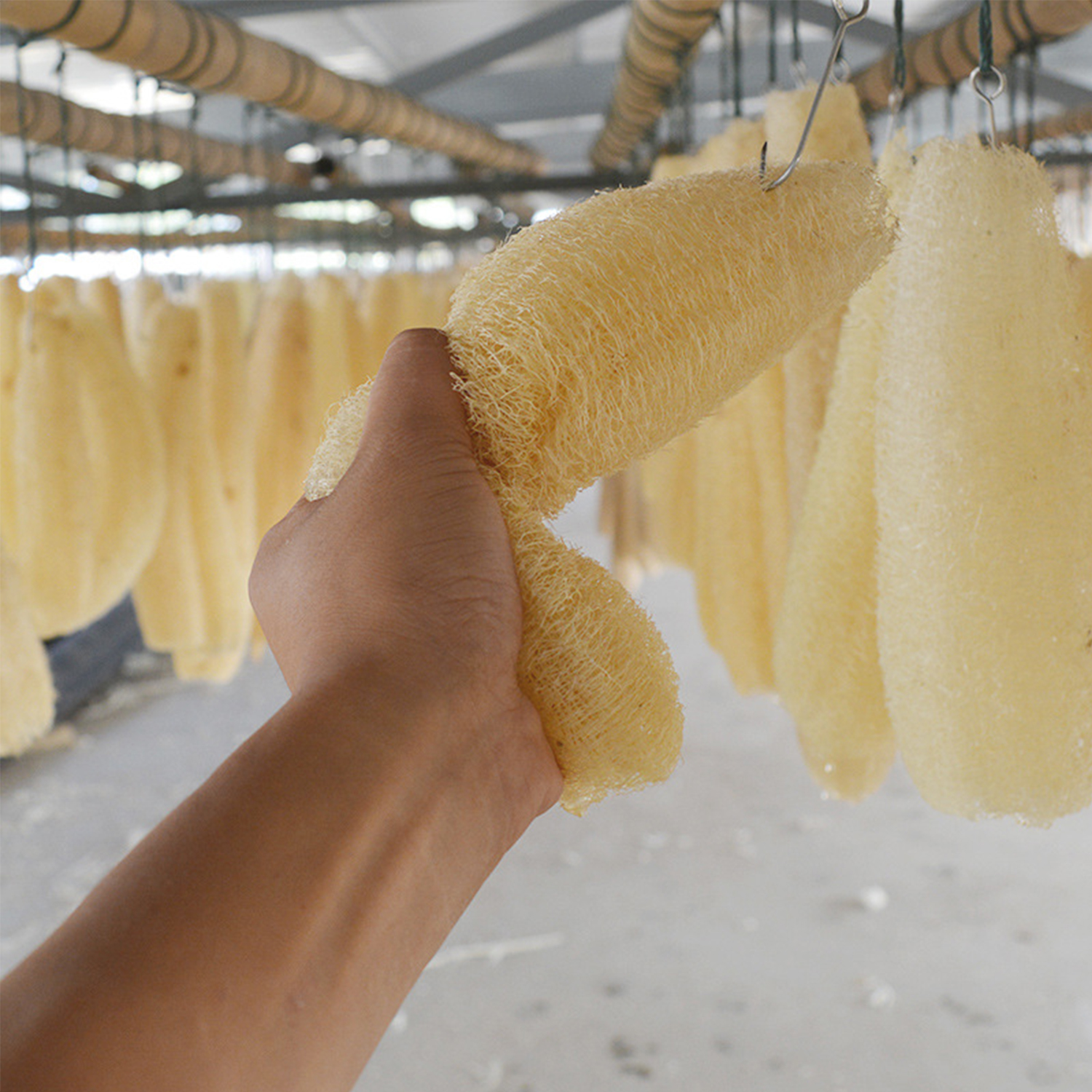 UCINNOVATE Natural Organic Loofahs, Loofah Shower for Exfoliating Skin Body Scrubber Use in Bath Shower, Large Body Wash Cleaning Spa Bath Spa Skin Care Back Accessories Scrubber Brush - 4PCS