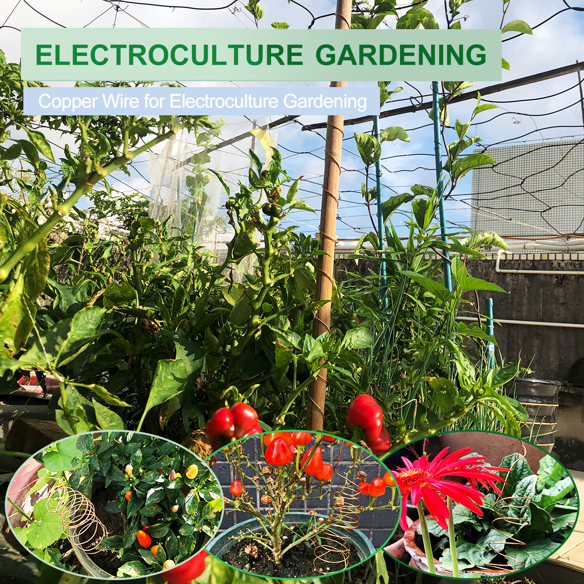 UCINNOVATE 99.9% Copper Wire, 16 Gauge Soft Copper Wire 127 Feet / 39m, 1 lb Spool Pure Copper Wire for Jewelry Making, Bare Copper Wire for Electroculture Gardening Brass Copper Wire for Plants