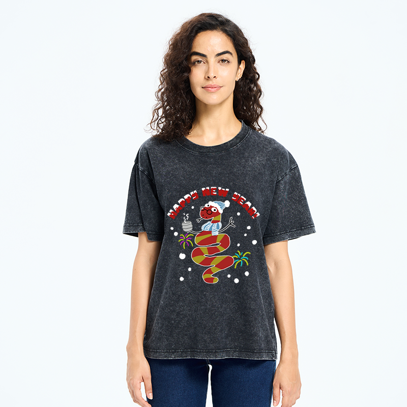 Snake Wearing Scarf And Hat Washed T-Shirt