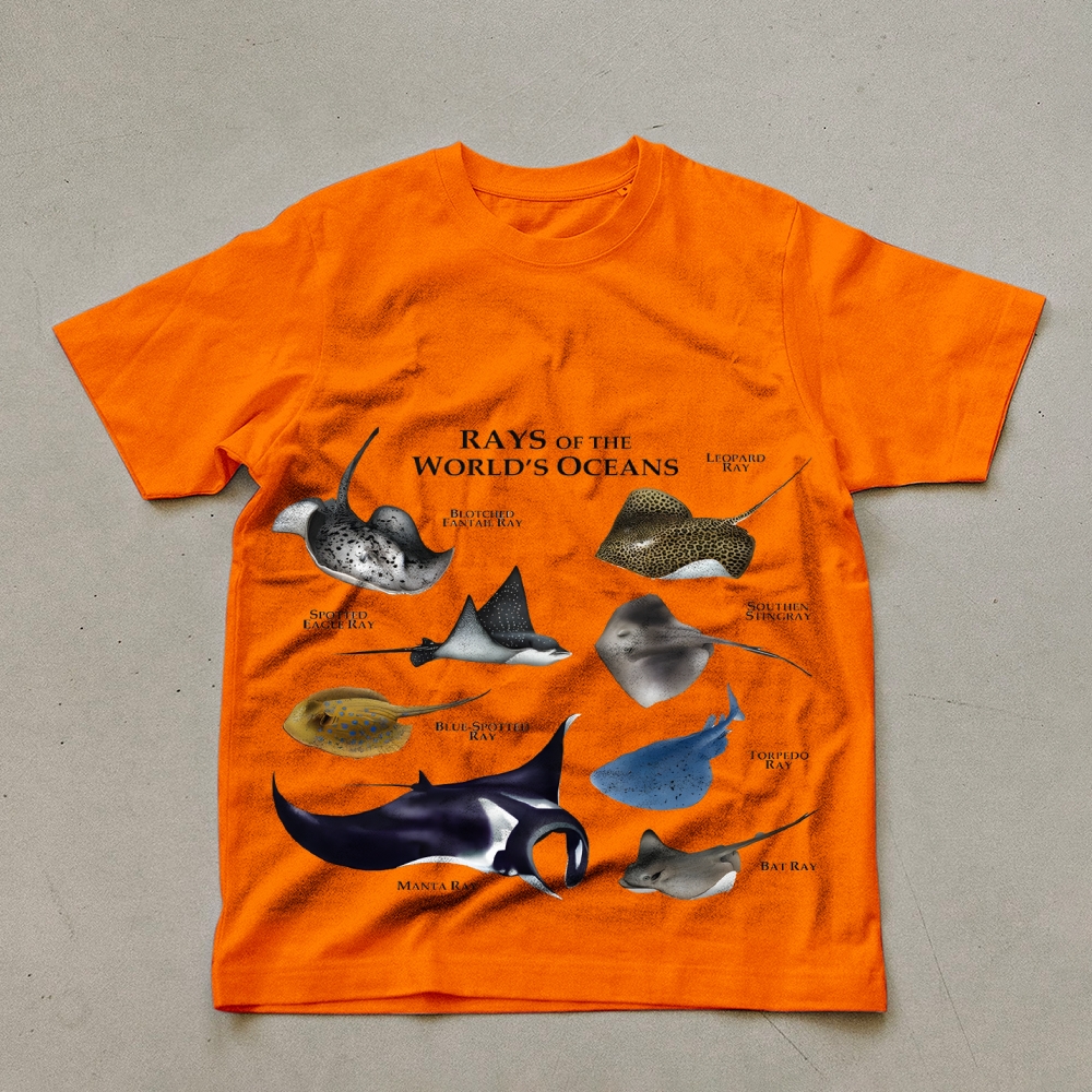 Rays Prints Unisex Cotton T-Shirt