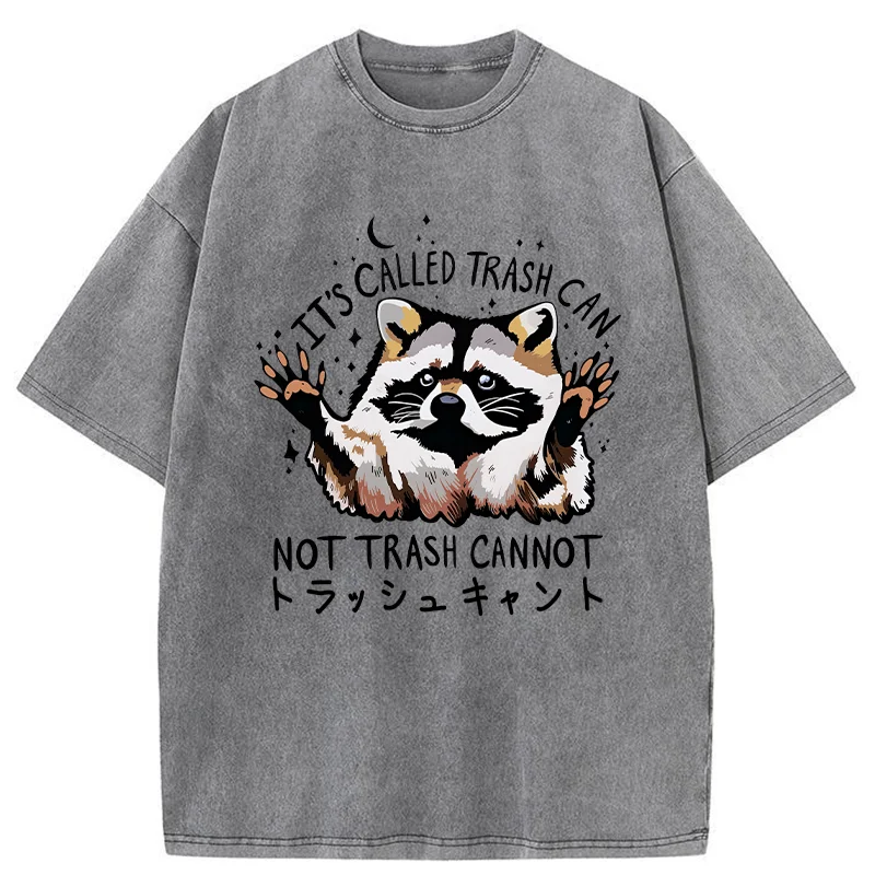   Adorable Raccoon Washed T-Shirt