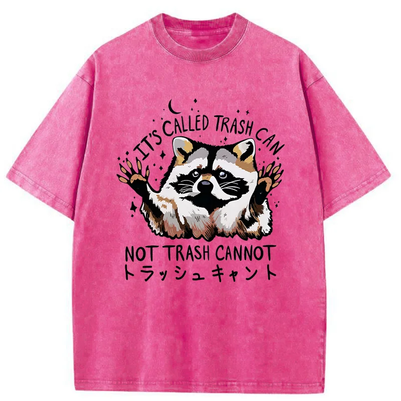   Adorable Raccoon Washed T-Shirt