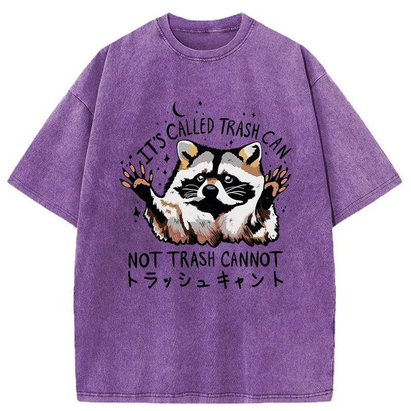   Adorable Raccoon Washed T-Shirt
