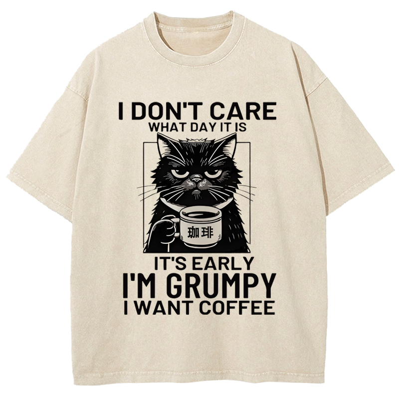 Funny Grumpy Cat Washed T-Shirt