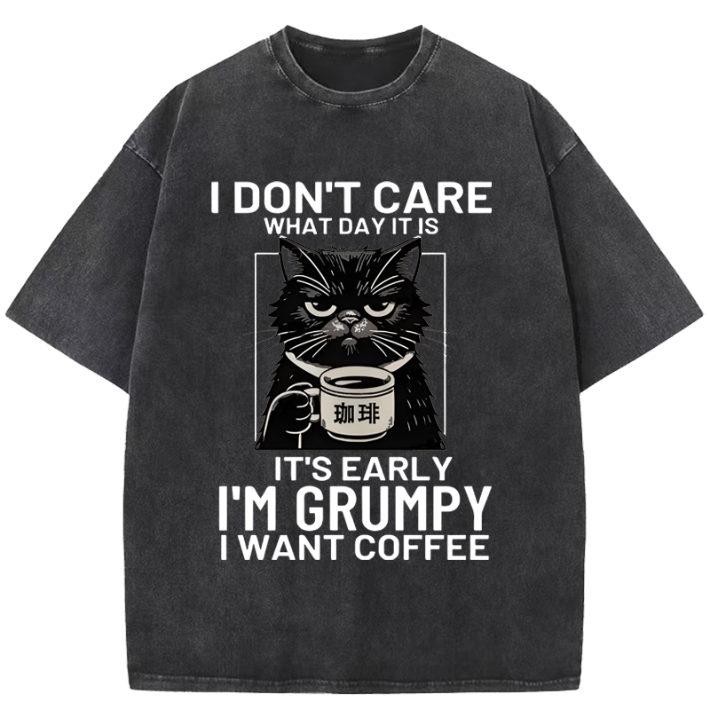 Funny Grumpy Cat Washed T-Shirt