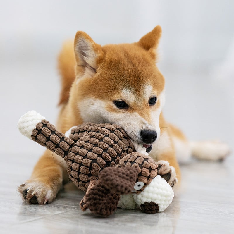 RobustPlush™