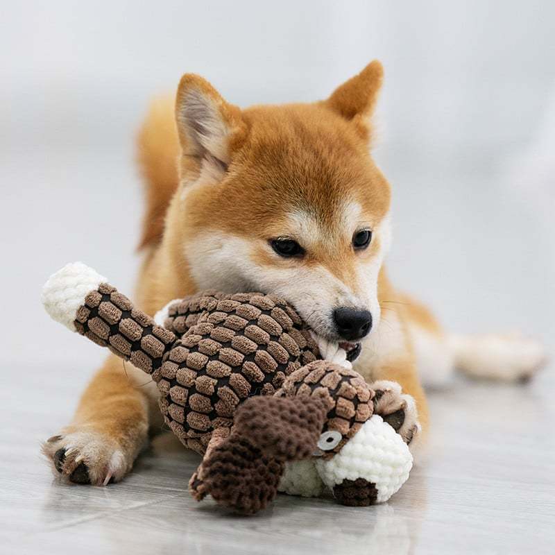 RobustPlush™