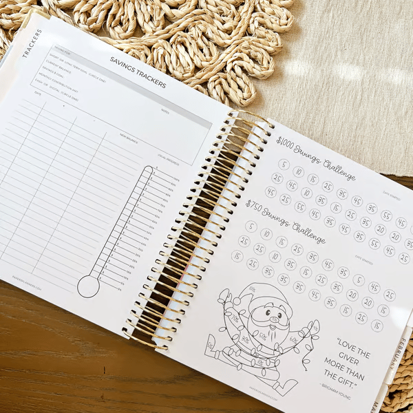 🔥Final Hot Sale-49% OFF🔥 2025 Budget Planner | Organized Planning - Buy 2 Free Shipping